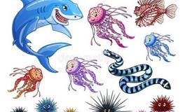 2025年属蛇的五行属什么，是什么命？