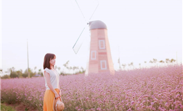 能增旺家庭运势的生肖女