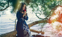 竹猫星球射手座一周塔罗运势（11.6-11.12）