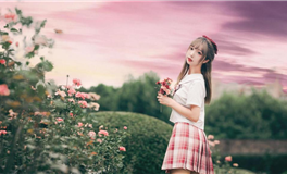 苏民峰生肖鸡2024年运势