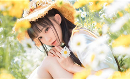 李云天生肖马2023年12月塔罗运势