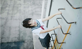 生肖马2024年运势怎么样