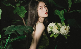 静电鱼2024年十二星座运势