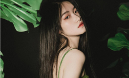 2024年十二生肖运势专业版