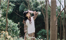 属猪2024年最大的劫，会遇到什么劫难