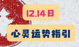 神叨酱心灵疗愈指引2023年12月14日