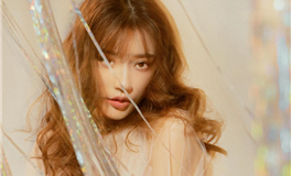 滴天居士2024年生肖运势