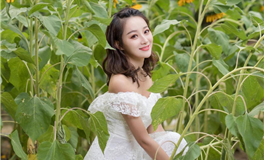 星座女神金牛座一周运势（12.4-12.10）