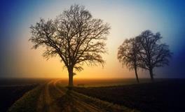 属鼠人2024年很惨，会遇到什么灾难