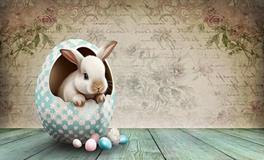 1975年属兔48岁以后命运如何，未来几年运势