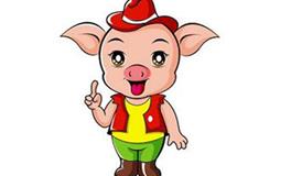 属猪杰出的明星人物