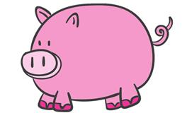 属猪的几点出生是好时辰