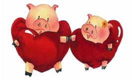 属猪人爱你的表现