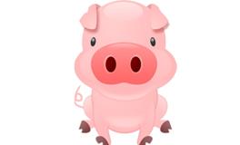 1995年属什么生肖