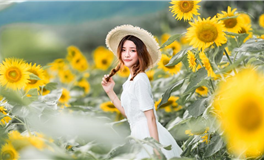 属马人2024年运势关键字