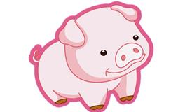 属猪男喜欢一个人的反应