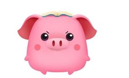 1995年属猪人几月份桃花运最旺