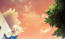 属鼠的适合养什么花