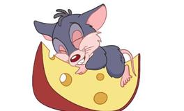 1948年属鼠的是什么命，1948年出生的鼠五行属什么