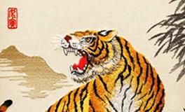 属虎女生的优点和缺点