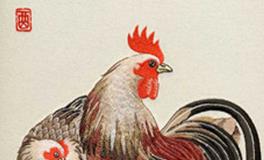 属鸡人一生感情及财运运势