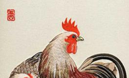 属鸡的女人性格和脾气好吗