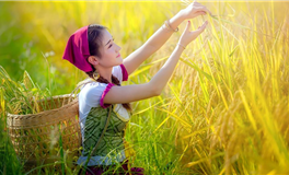 赤百合天秤座一周运势（1.15-1.21）