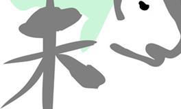 属羊女人旺夫吗