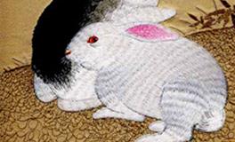 属兔人一生感情及财运运势