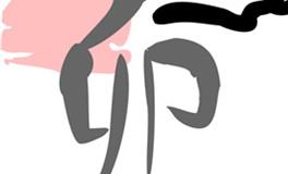 属兔女人旺夫吗