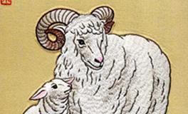 属羊的女人花心吗