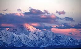 属羊的人最怕什么生肖