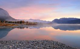 属猴的人适合养什么花