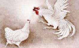 属鸡人和什么属相最配