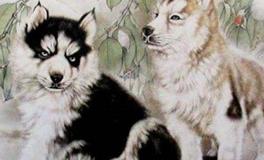 属狗的人和什么属相最配