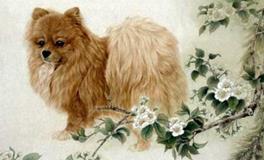 属狗人的一生命运