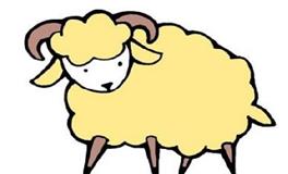 1991属羊的40岁以后命运如何