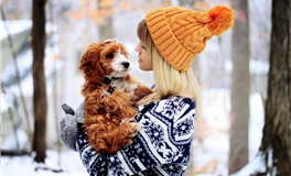 Alex大叔2024年2月星座运势