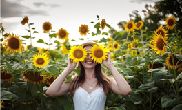 2024年行大运，时来运转的4个生肖