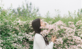 水玲师傅生肖马2024年2月运势