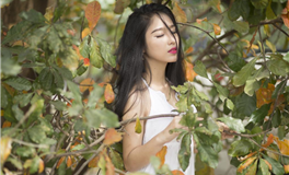 12星座过年买这盆花，可以转运哦~