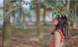 李云天2024年2月十二星座运势