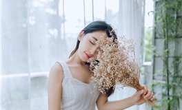 生肖马2024甲辰年运势