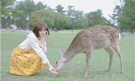 中式十二星座大揭秘，带你了解中式特有的浪漫！