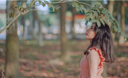 艾菲尔十二星座一周运势(1.29-2.4）