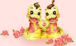 属蛇男的属相婚配表大全