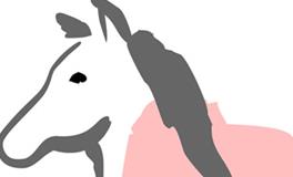 1978年属什么生肖