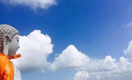 属兔的本命佛是谁