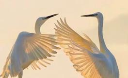 如何防止被别人“借运”