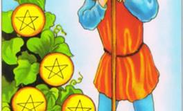 塔罗牌星币七正位代表什么意思？